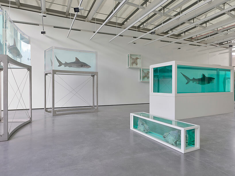 Damien Hirst Takes Over The Entire Ch Teau La Coste With The Light