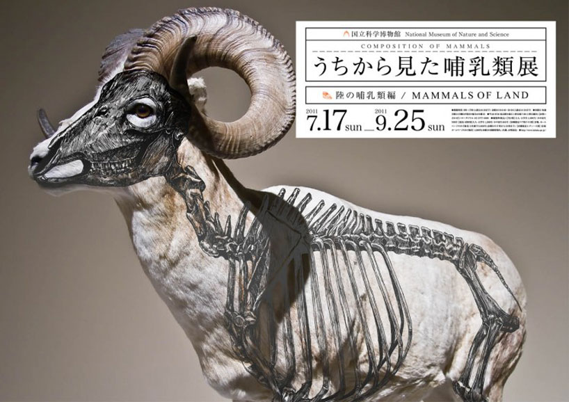 wataru yoshida: composition of mammals
