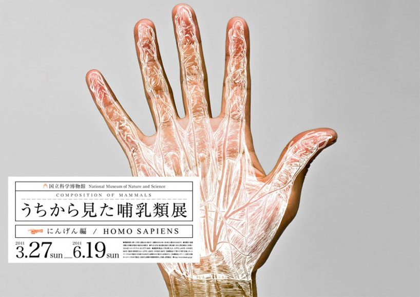 wataru yoshida: composition of mammals