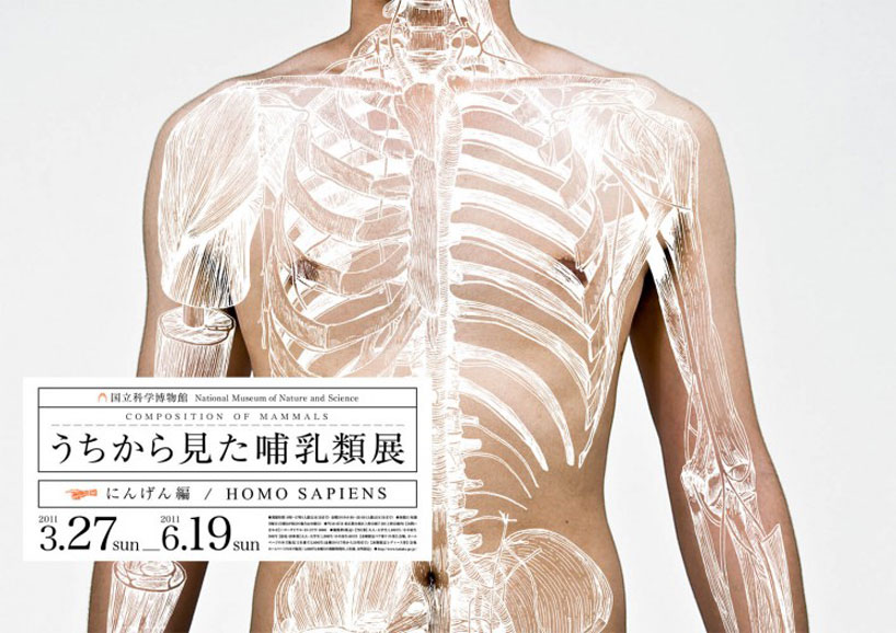 wataru yoshida: composition of mammals