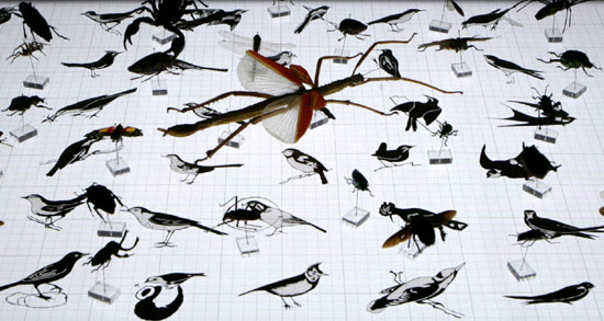 carlos garaicoa at the east central gallery, london