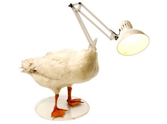 sebastian errazuriz: working against time exhibition