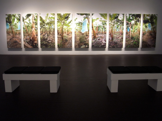 fallen fruit: 'united fruit' at LACE, los angeles