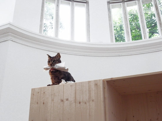 liam gillick: german pavilion at venice art biennale 09