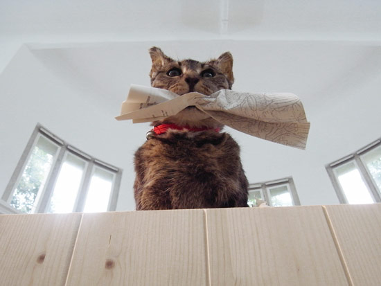 liam gillick: german pavilion at venice art biennale 09