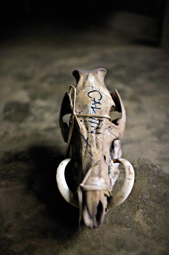 fabrica: 'colors of money' exhibition