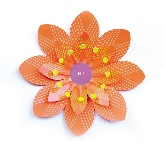 artecnica collection 2009: florals