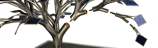 vivien muller: orkys and photonsynthesis