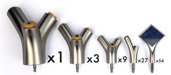 vivien muller: orkys and photonsynthesis