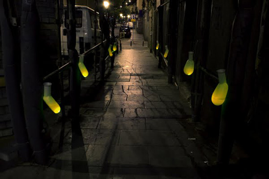 'public toilets' by luzinterruptus
