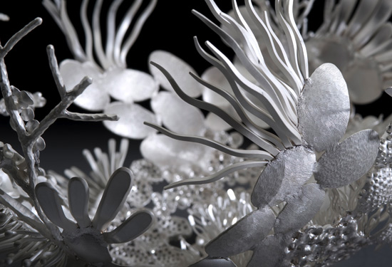 schoonhoven silver award 2009