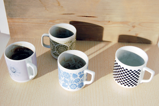 maestrokatastrof & whitefruits