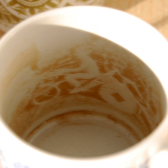 maestrokatastrof & whitefruits