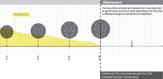 buyproduct by nitipak samsen