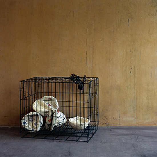 chen wei: solo exhibition at m97 gallery, shanghai