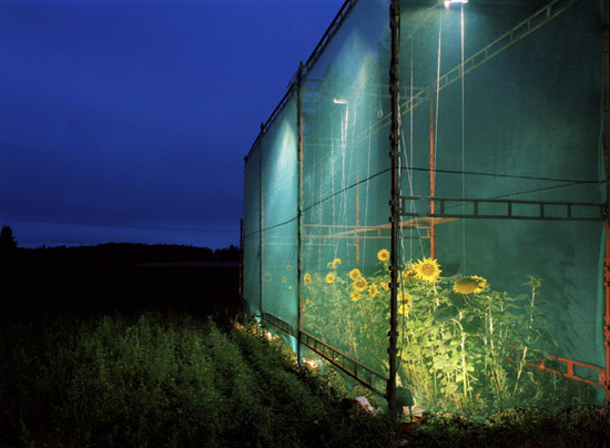 ilkka halso: nature rescue