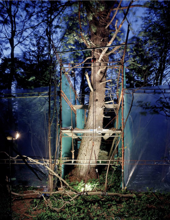 ilkka halso: nature rescue