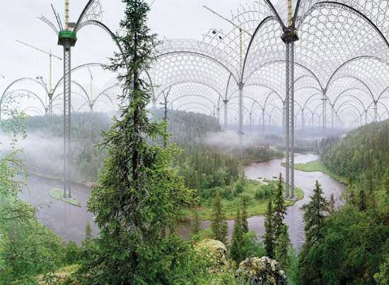 ilkka halso: nature rescue