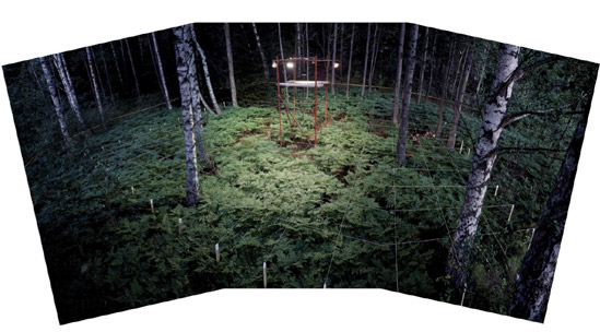 ilkka halso: nature rescue