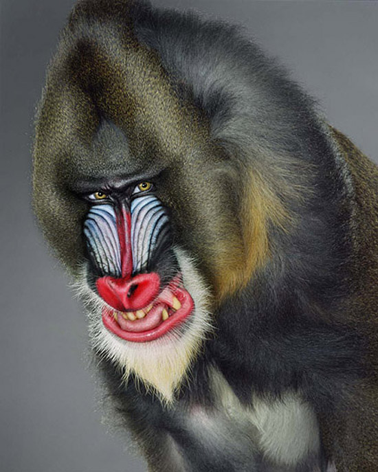 jill greenberg: portraits at galerie acte 2