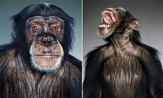 jill greenberg: portraits at galerie acte 2