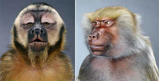 jill greenberg: portraits at galerie acte 2