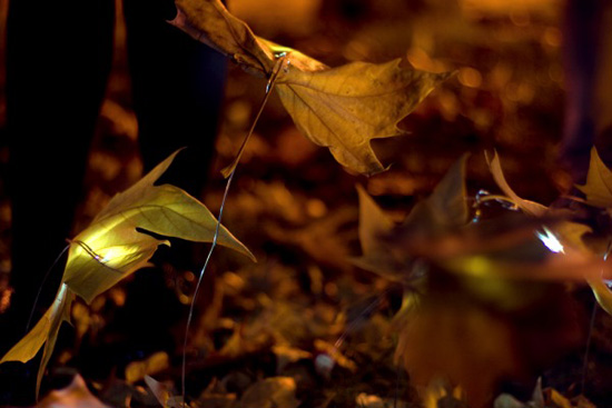 luzinterruptus: an almost ephemeral autumn