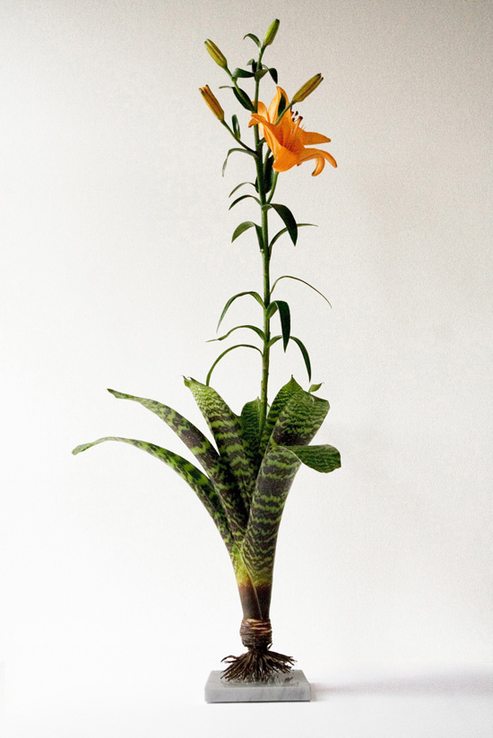 vase vs. vases exhibition at the helmrinderknecht, berlin