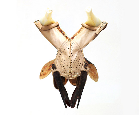 david trautrimas and kristina lewis: article X exhibition