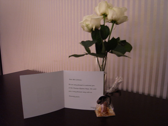 hotel champs elysees plaza paris