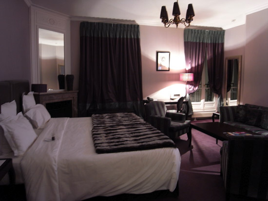 hotel champs elysees plaza paris