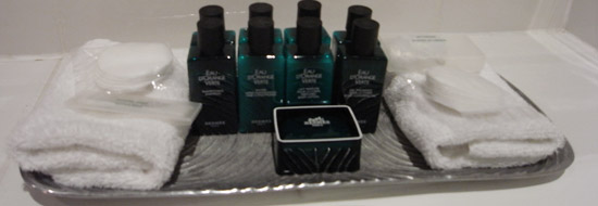 hotel champs elysees plaza paris