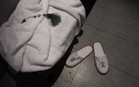 hotel champs elysees plaza paris