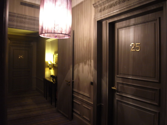 hotel champs elysees plaza paris