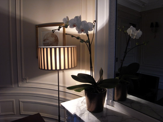 hotel champs elysees plaza paris