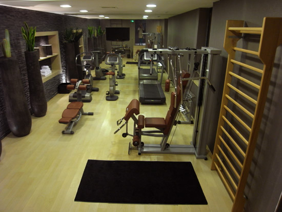 hotel champs elysees plaza paris