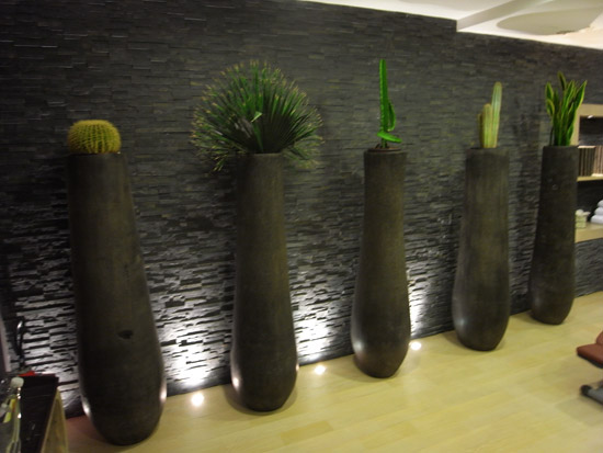 hotel champs elysees plaza paris