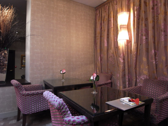 hotel champs elysees plaza paris