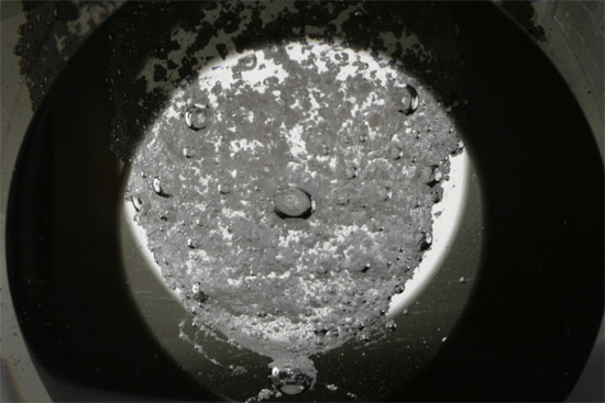 frederic dedelley: memento mori