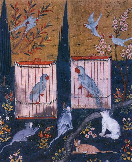 ottoman love of pigeons
