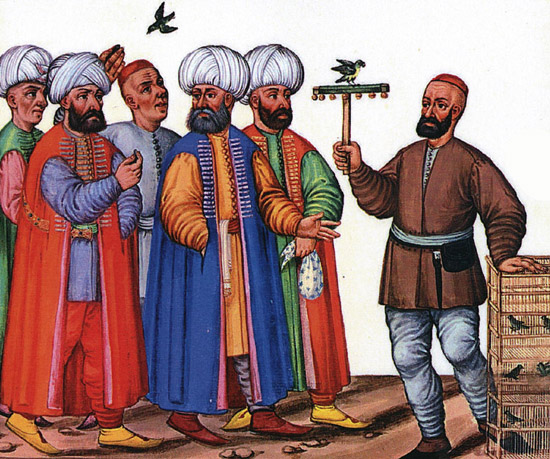 ottoman love of pigeons