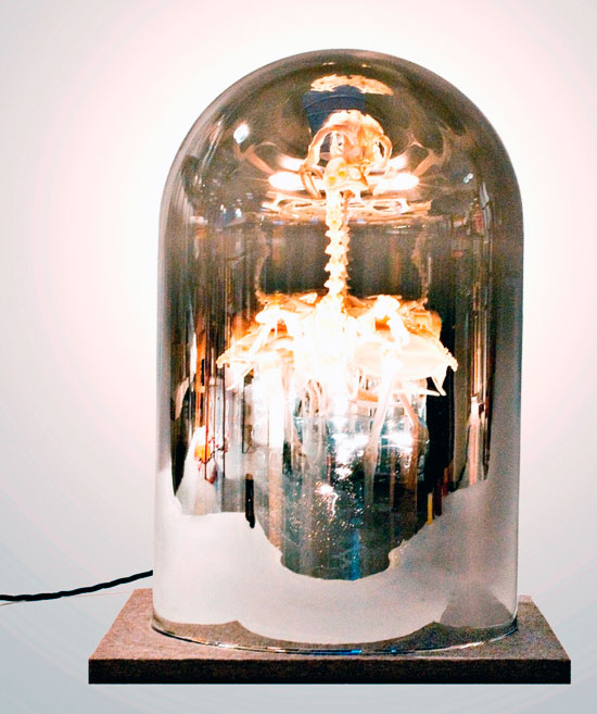 rolf sachs encases curiosities in a dome light series