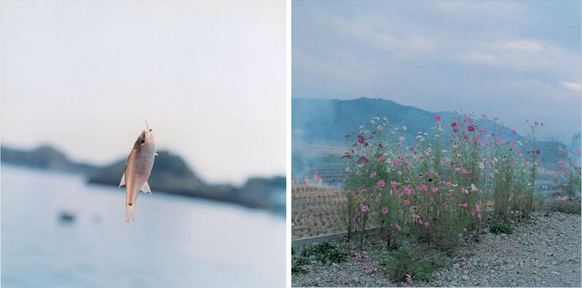 rinko kawauchi at galleria carla sozzani, milan