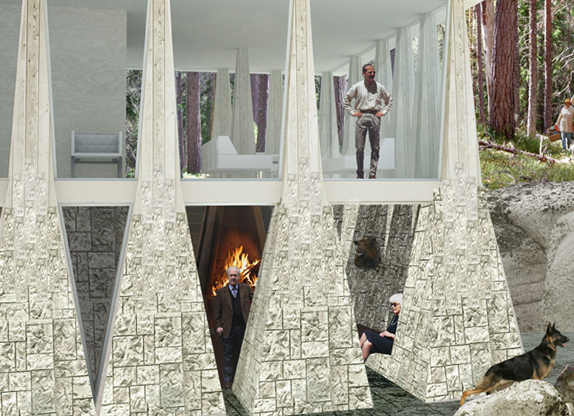 visiondivision: nature's choice