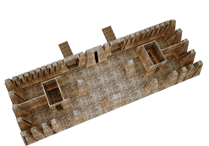 visiondivision: nature's choice