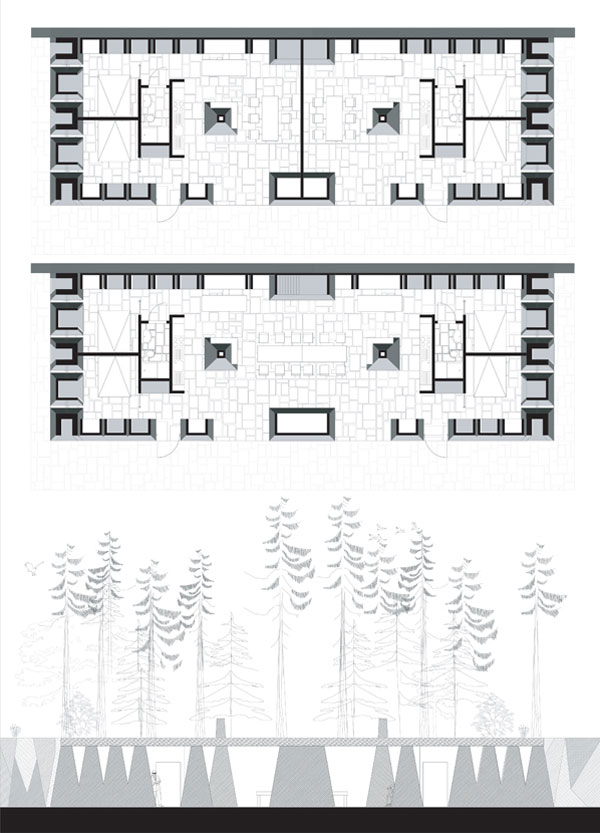 visiondivision: nature's choice