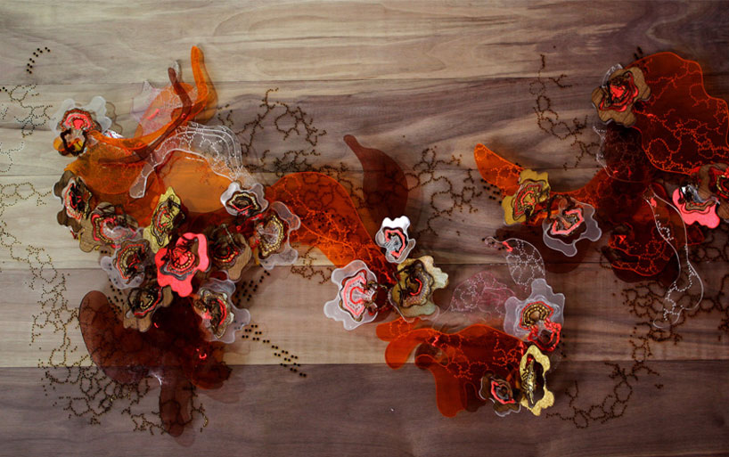 elaine ng: techno naturology