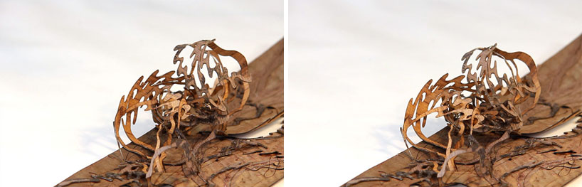 elaine ng: techno naturology