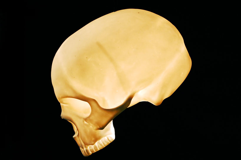alex garnett: skull lamps