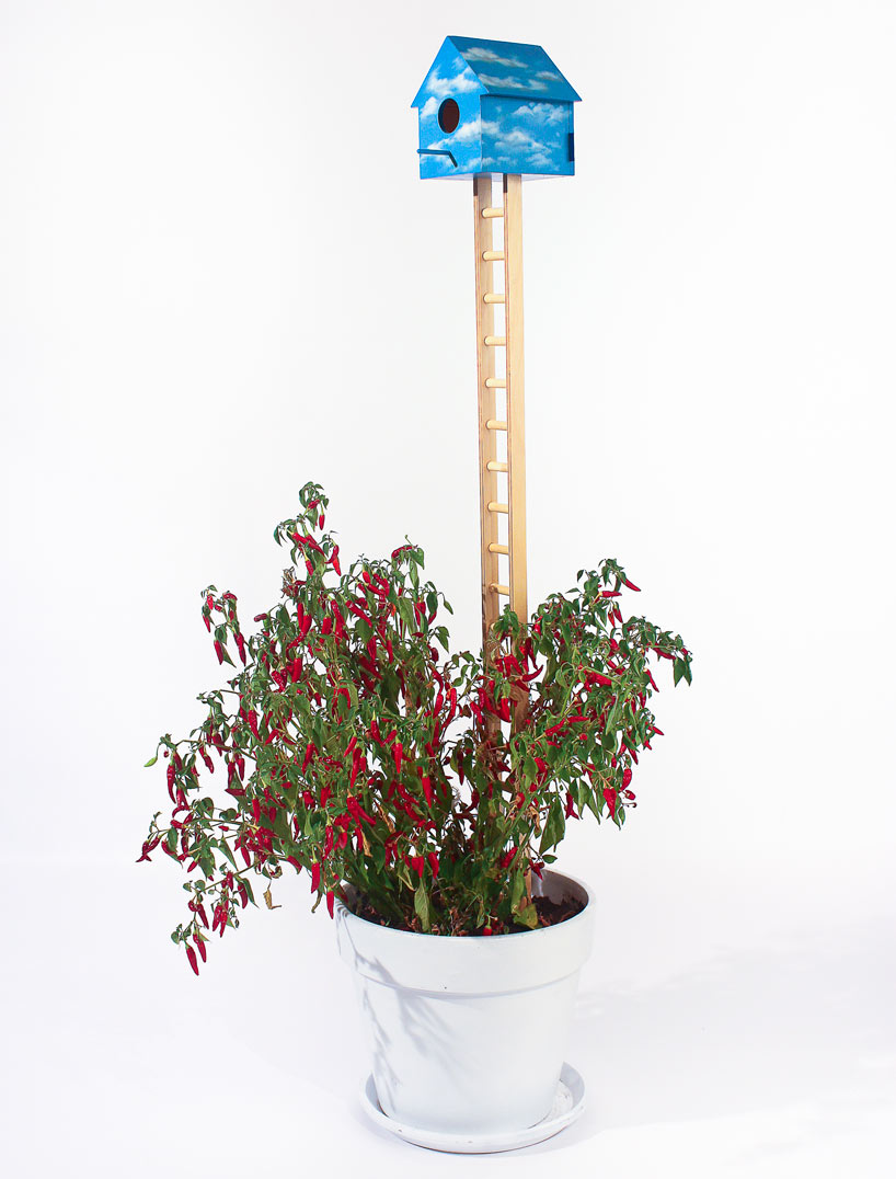 j&eacute;r&eacute;my couture + claudia despr&eacute;s: birdhouses